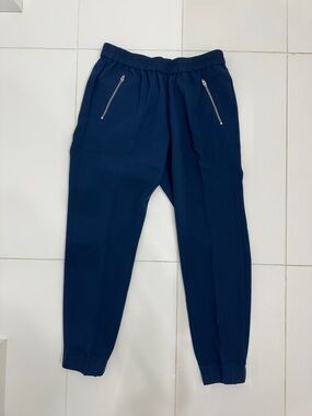 J. Crew Blue Zip-Front Tapered Pants